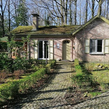 Rainbow Lodge Ursel Dış mekan fotoğraf